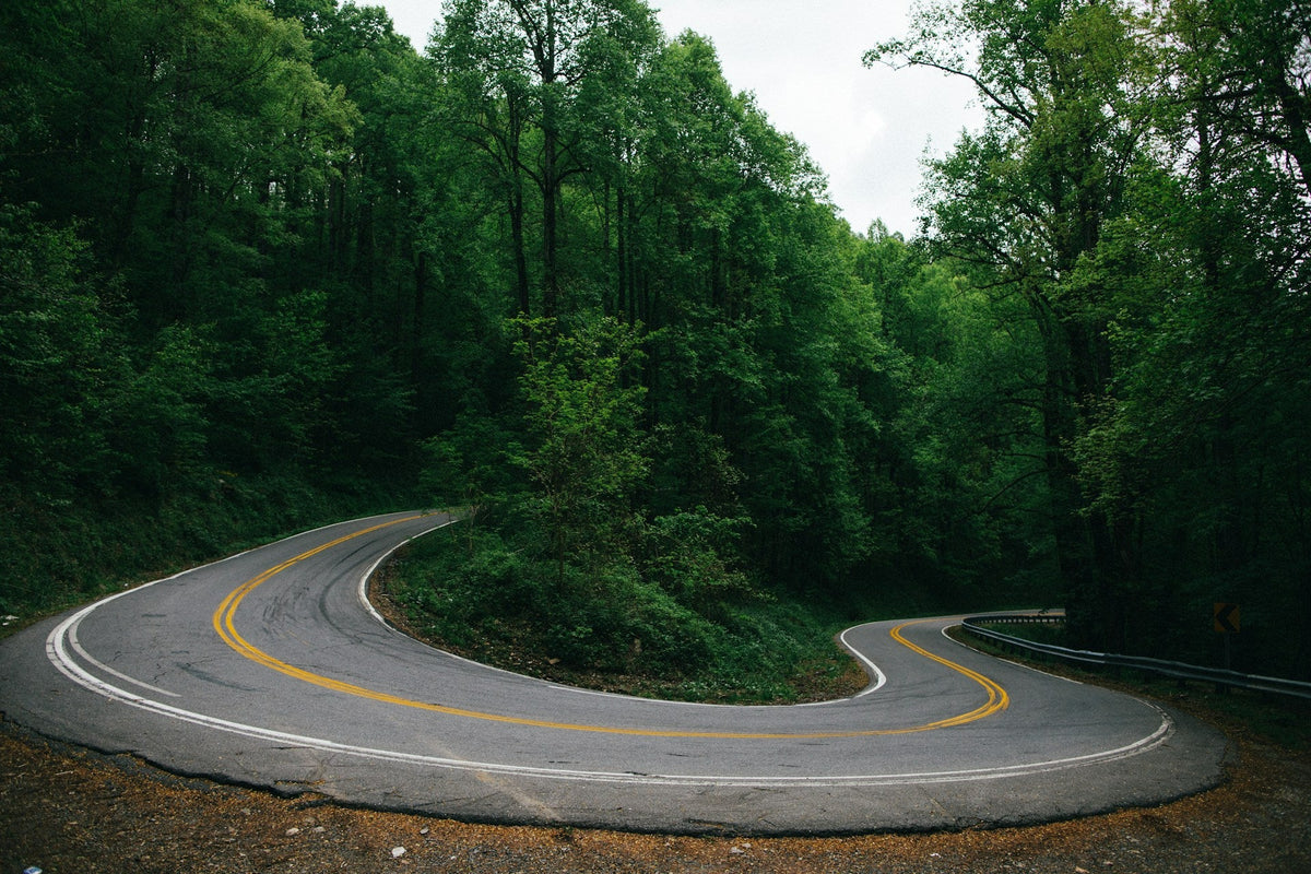 a curved road that would cause cars to drive similarly to a person with a curved penis having sex