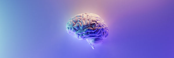 What Happens to Your Brain When You Masturbate?