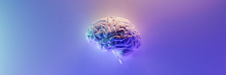 masturbation and the brain
