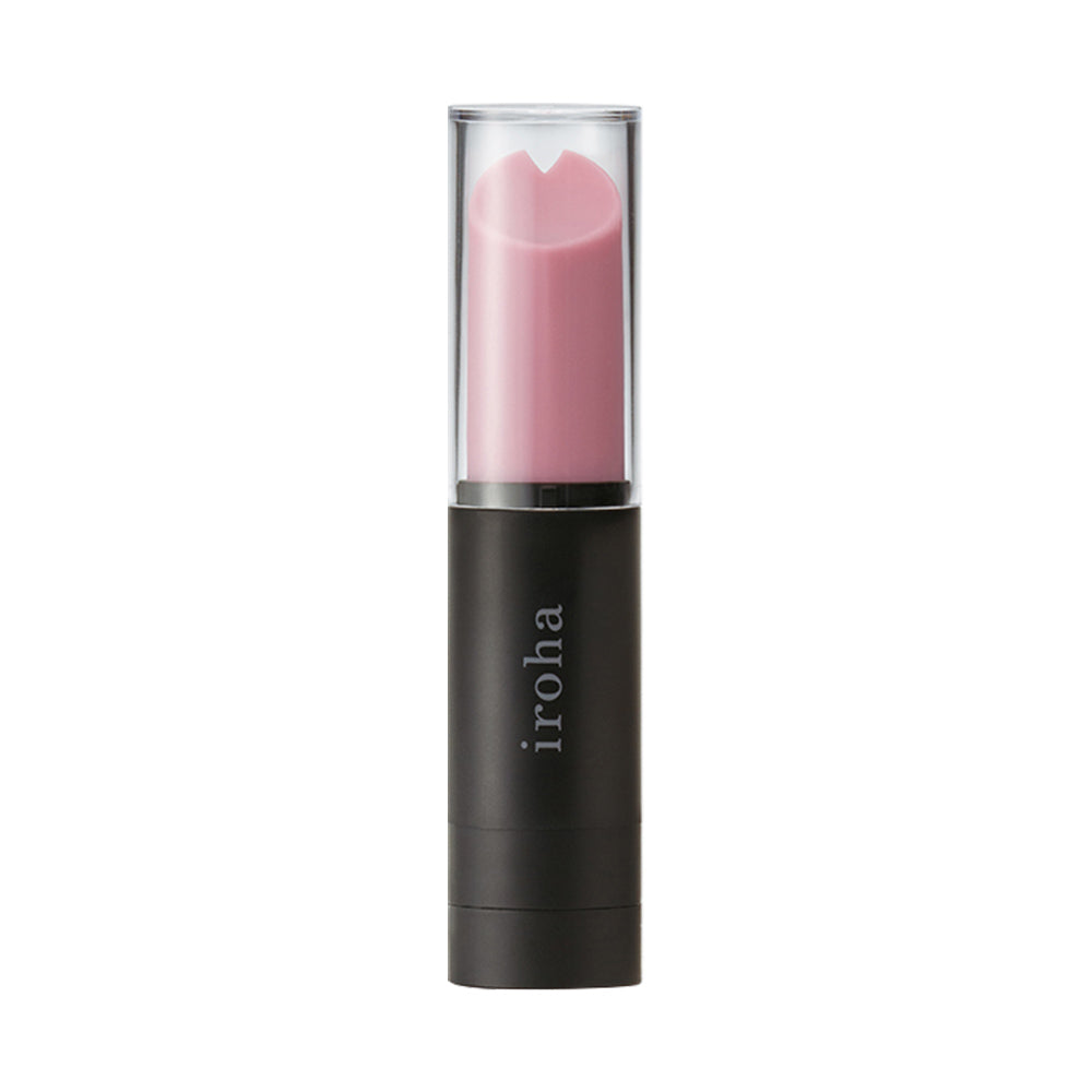 Bullet Vibrators