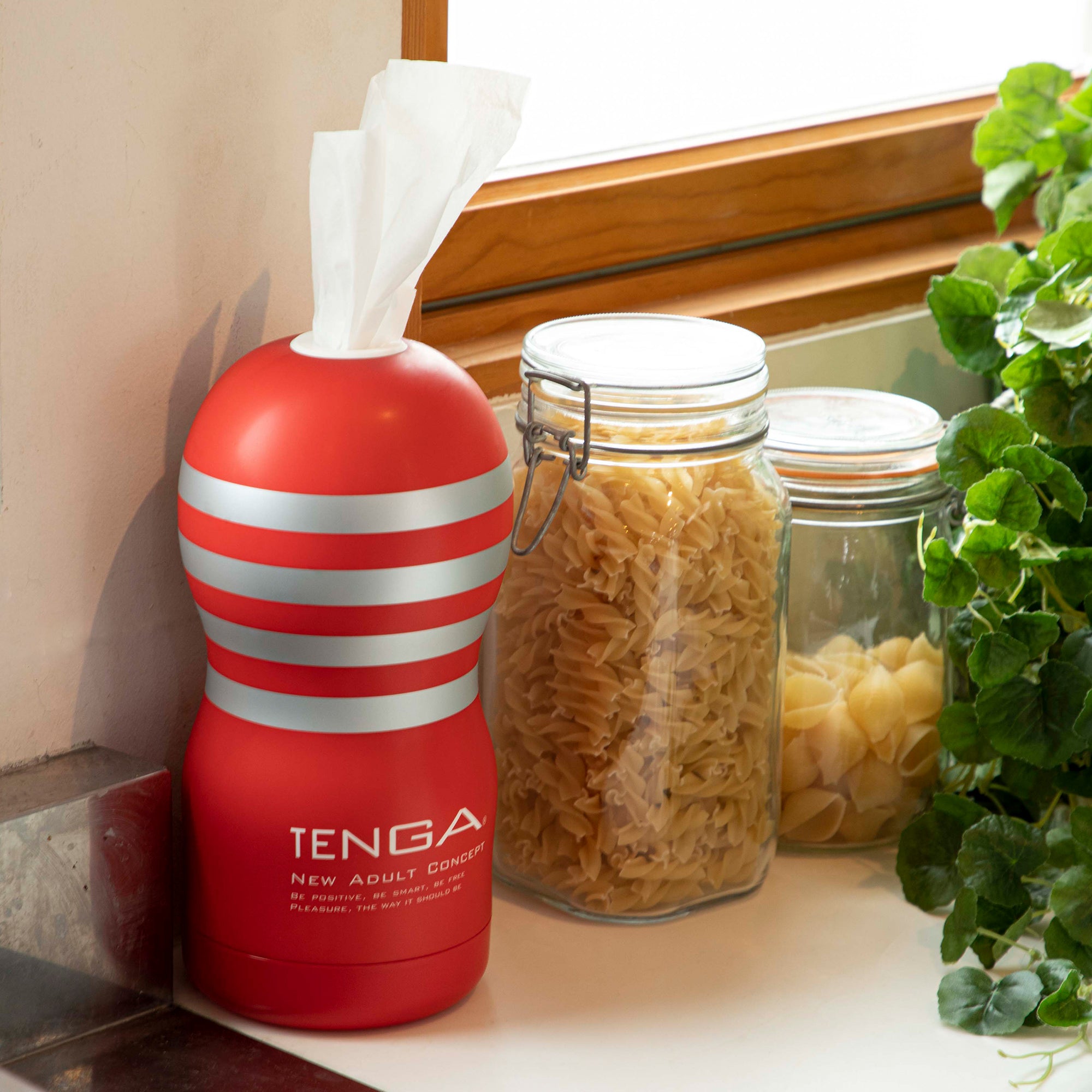 New PANTY & STOCKING with GARTERBELT Special Collaboration TENGA TISSUE CASE